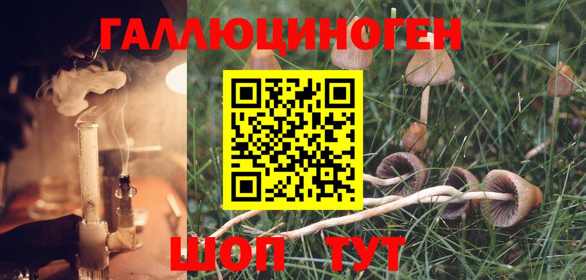 Углич  Галлюциногенные грибы Psilocybine cubensis  Псилоцибиновые грибы MAGIC MUSHROOMS  Вход с VPN 