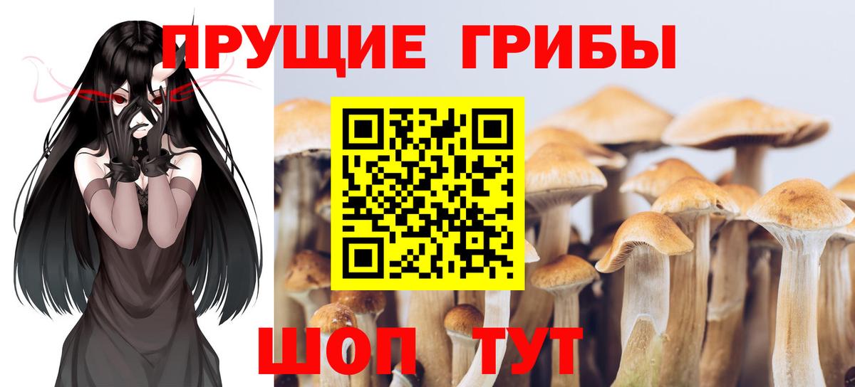 Галлюциногенные грибы мицелий Углич
